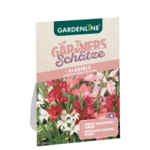 GARDENLINE® Blumenzwiebeln 2.99 €