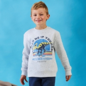 Jungen-Sweatshirt mit Dino-Aufdruck 23.39 €