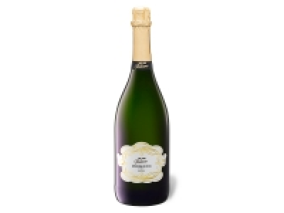 We are Italiano Prosecco DOC extra dry Magnum, Schaumwein 2021 14.99 €