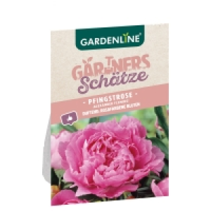 GARDENLINE Pfingstrose