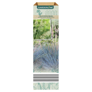 GARDENLINE Ziergras 1.99 €