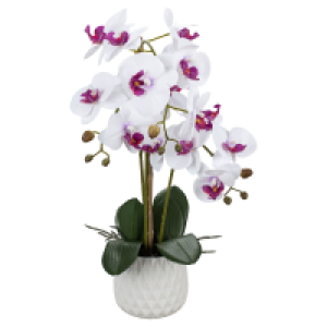 HOME CREATION Naturgetreue Orchidee im Topf