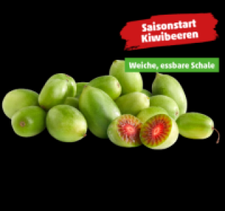 NERGI Kiwibeeren