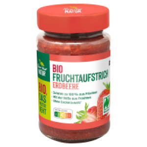 NUR NUR NATUR Bio-Fruchtaufstrich-Erdbeere 250 g