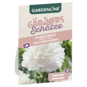 Aldi Süd  GARDENLINE Pfingstrosen