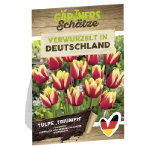 Aldi Süd  GARDENLINE Blumenzwiebeln Mix