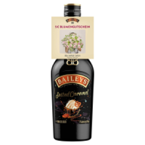 Aldi Süd  BAILEYS Salted Caramel 0,5 l