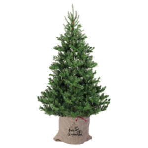 Aldi Süd  GARDENLINE Weihnachtsbaum dekoriert