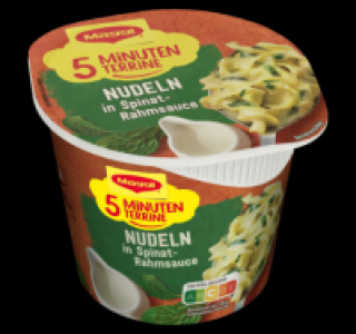 MAGGI 5 Minuten Terrine