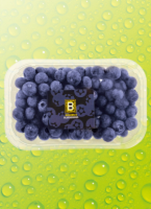 Norma Golden B Blueberries Gol­den B Kul­tur-Hei­del­bee­ren