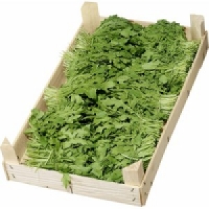 Rucola 4.99 €