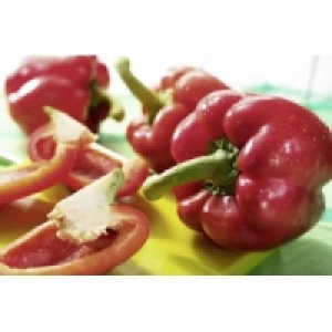 Paprika rot 1.29 €