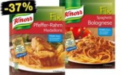 Knorr Fix 0.49 €