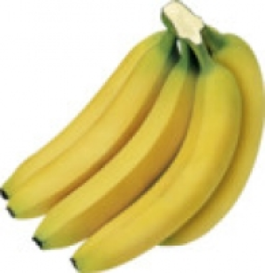 Bananen 1.99 €