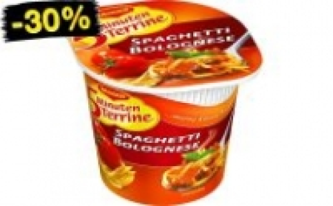 Maggi 5 Minuten Terrine 0.69 €