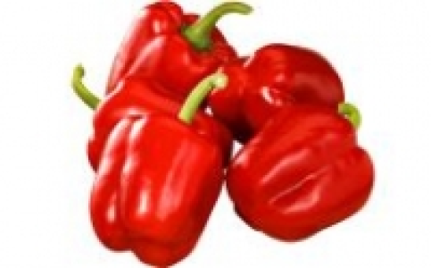 Paprika rot 1.98 €