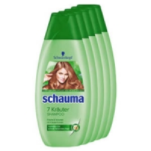 schauma Shampoo 5.99 €