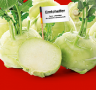 Kohlrabi 0.29 €