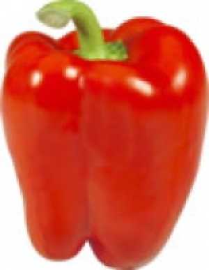 Paprika rot 3.99 €