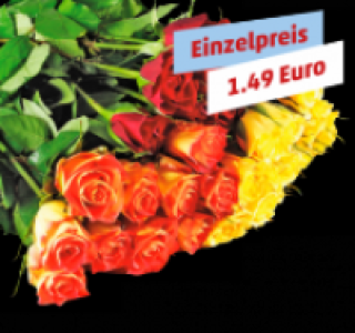 Rosen 2.49 €