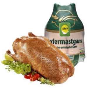 Polnische Hafermastgans 2.99 €