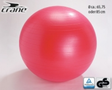 CRANE®Gymnastikball 5.99 €