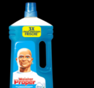 MEISTER PROPER Allzweckreiniger 1.19 €