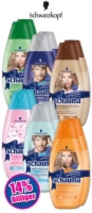 Schauma Shampoo 2.99 €