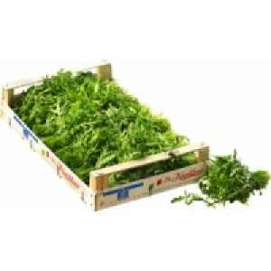 Rucola 7.99 €