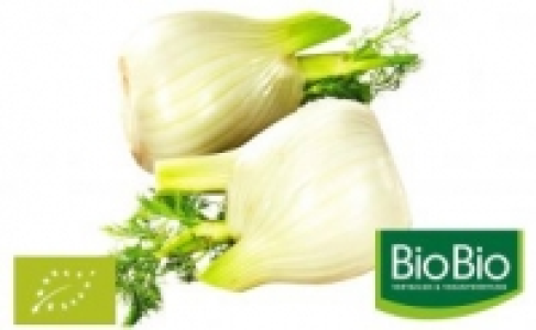 Fenchel 1.79 €