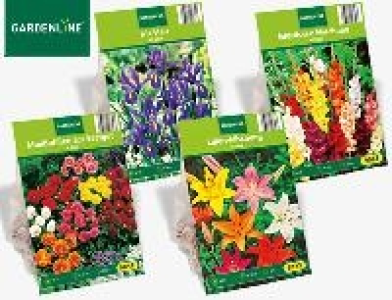 Blumenzwiebeln 0.99 €