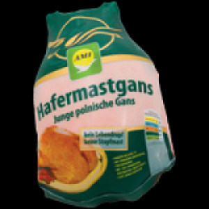 Polnische Hafermastgans