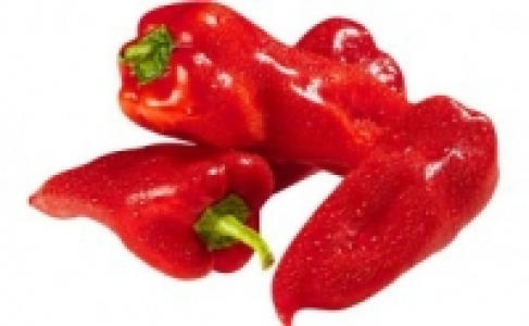 Spitzpaprika rot 0.99 €