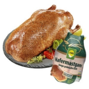 Polnische Hafermastgans 3.49 €