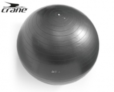 crane®Gymnastikball 6.99 €