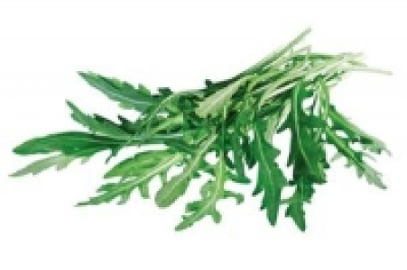 Rucola 1.99 €