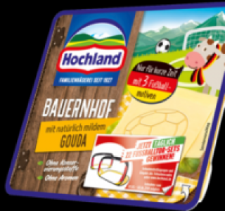 HOCHLAND Sandwichscheiben 1.49 €