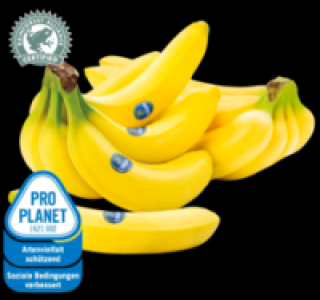 CHIQUITA Bananen 1.59 €