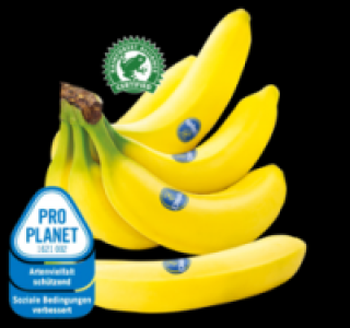 CHIQUITA Bananen 1.89 €