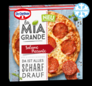 DR. OETKER Pizza la Mia Grande 2.89 €