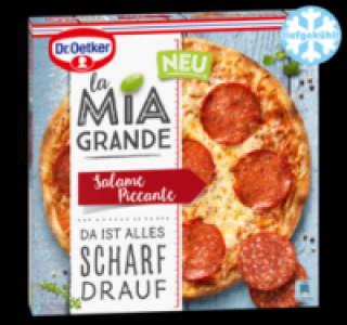 DR. OETKER Pizza la mia Grande 2.99 €