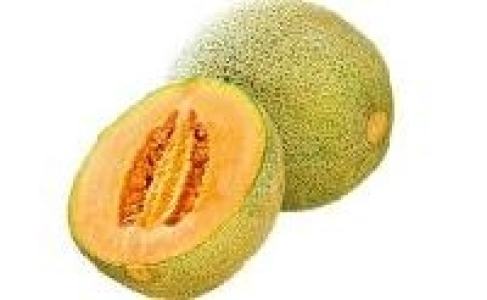 Cantaloupe-Melone 2.29 €