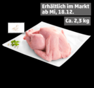 Frische ganze Pute 4.99 €