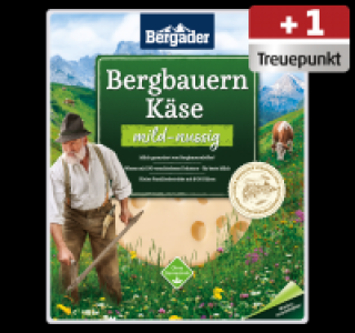 BERGADER Käsescheiben 1.49 €