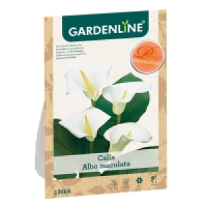 GARDENLINE® Blumenzwiebeln 1.79 €