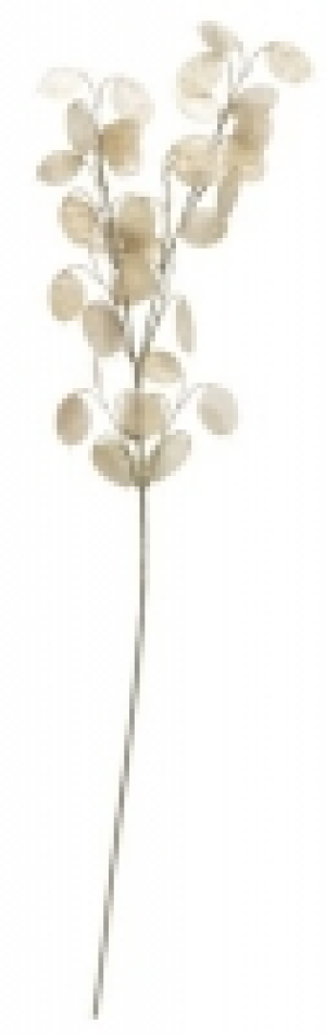 Kunstblume GREGERT H70cm beige 3.00 €