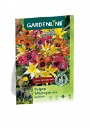 GARDENLINE® Frühlingsblumenzwiebeln 1.69 €