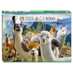 1000-Teile-Puzzle 3.99 €