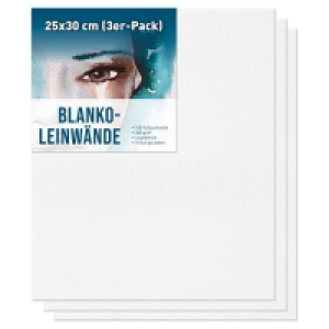 Blanko-Leinwände 4.99 €